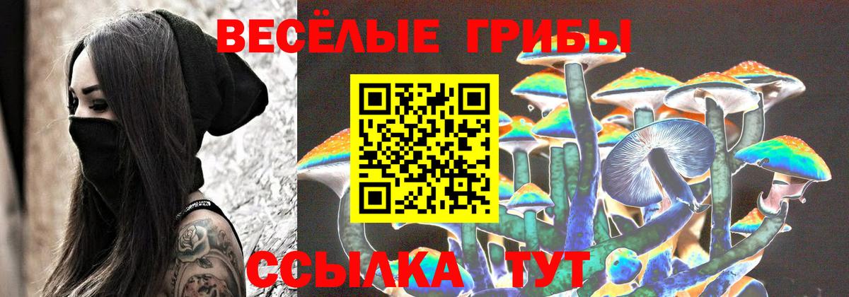 Псилоцибиновые грибы мухоморы Киров